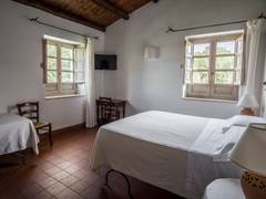 Zimmerbild 13