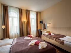 Zimmerbild 12
