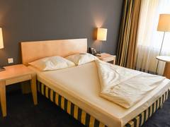 Zimmerbild 8