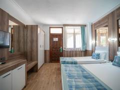 Zimmerbild 27
