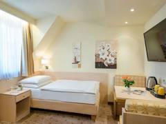 Zimmerbild 9