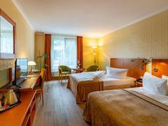 Zimmerbild 8