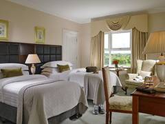 Zimmerbild 6