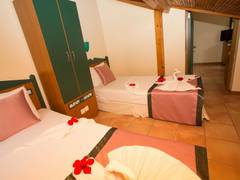 Zimmerbild 8
