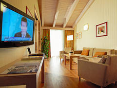 Zimmerbild 8
