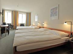 Zimmerbild 15