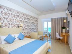 Zimmerbild 29