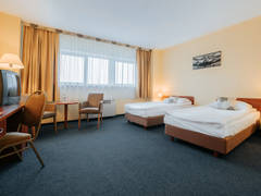 Zimmerbild 13