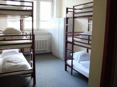 Zimmerbild 8