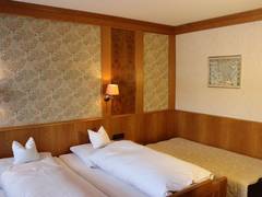 Zimmerbild 11