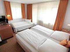 Zimmerbild 9