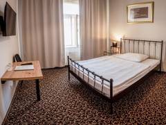 Zimmerbild 10