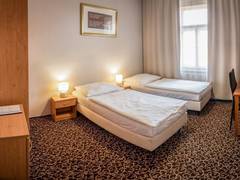 Zimmerbild 9