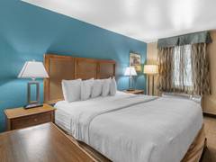 Zimmerbild 8