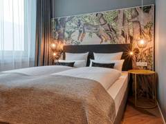Zimmerbild 23