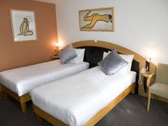 Zimmerbild 6