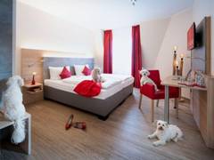 Zimmerbild 11