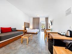 Zimmerbild 13