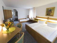 Zimmerbild 8