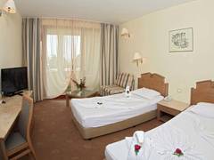 Zimmerbild 11