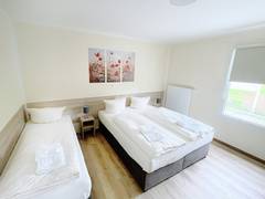 Zimmerbild 23