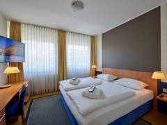 Zimmerbild 8