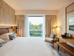Zimmerbild 11