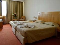 Zimmerbild 11