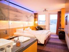 Zimmerbild 2