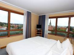 Zimmerbild 31