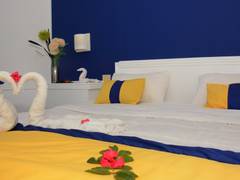 Zimmerbild 8