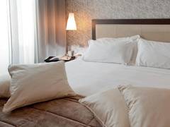 Zimmerbild 18