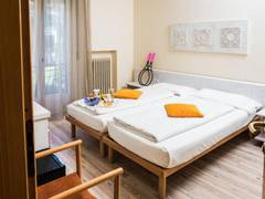Zimmerbild 28
