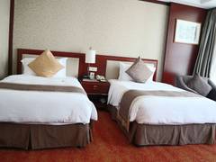 Zimmerbild 41