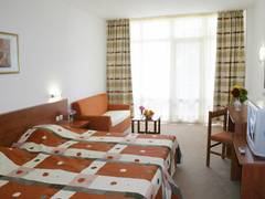 Zimmerbild 6