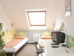 Zimmerbild 10