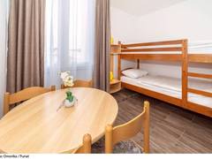 Zimmerbild 13