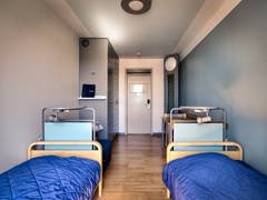 Zimmerbild 8