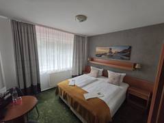 Zimmerbild 9