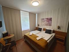 Zimmerbild 8
