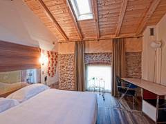 Zimmerbild 11