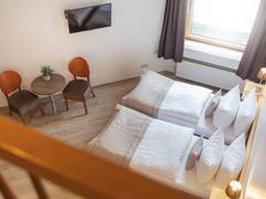 Zimmerbild 29