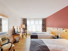 Zimmerbild 6