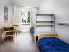 Zimmerbild 12