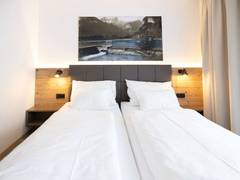 Zimmerbild 27