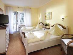 Zimmerbild 6