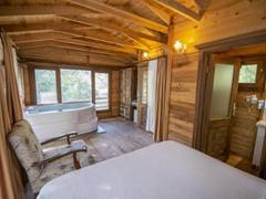 Zimmerbild 11