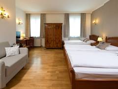 Zimmerbild 9