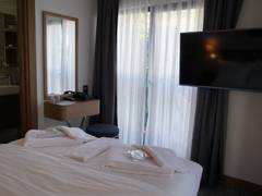 Zimmerbild 8