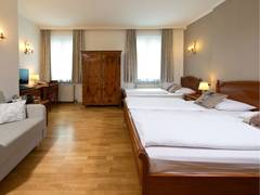 Zimmerbild 10
